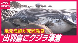 Shocking] Whale carcass found on Deba Island in Mugi Town