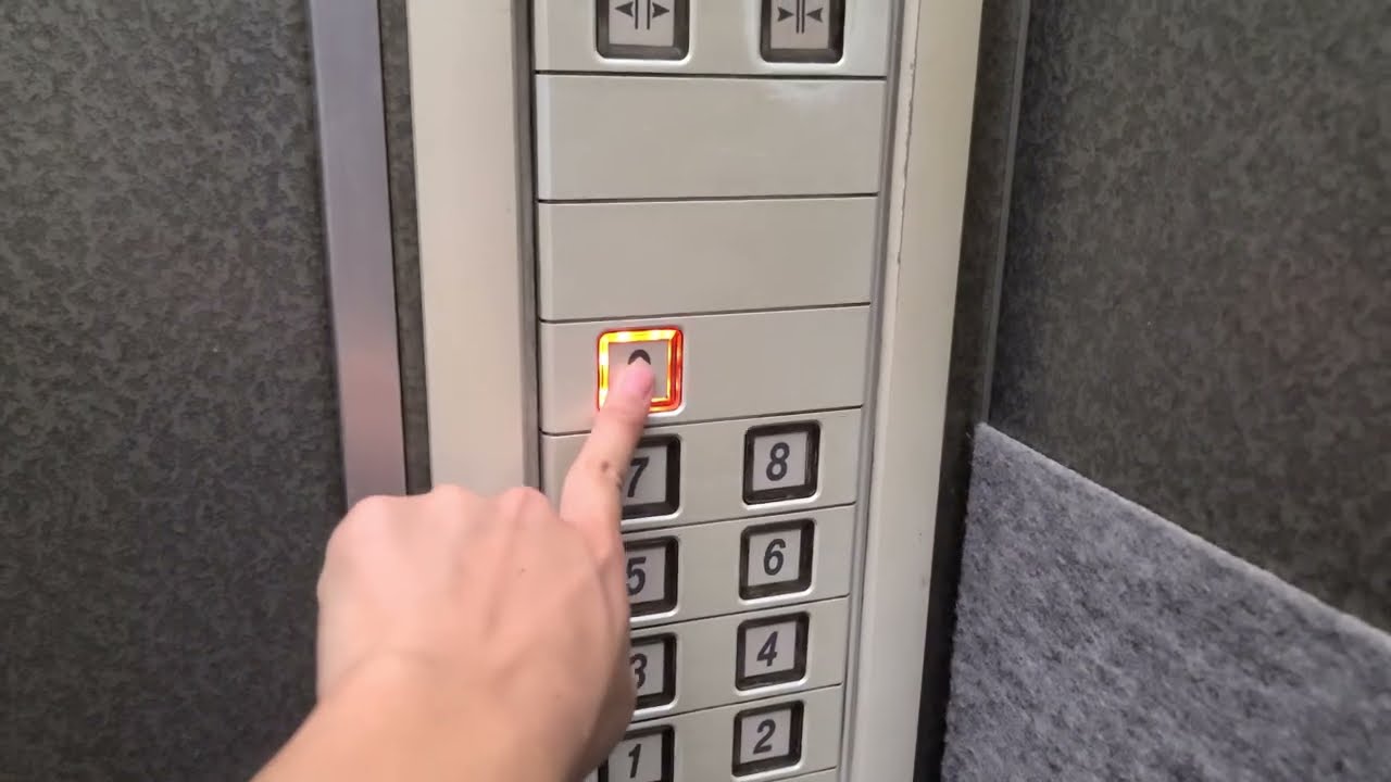 maxresdefault.jpg?sqp=-