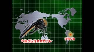 甲虫王者ムシキング 3D図鑑 5周年記念 - YouTube