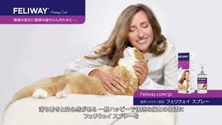 フェリウェイ スプレー｜【公式】フェリウェイ