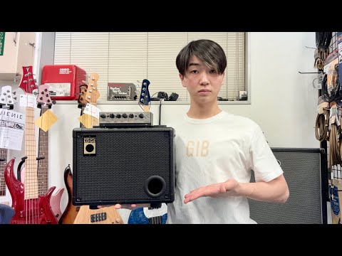 Alegre アコースティックベース アンプ接続可能 Alegre