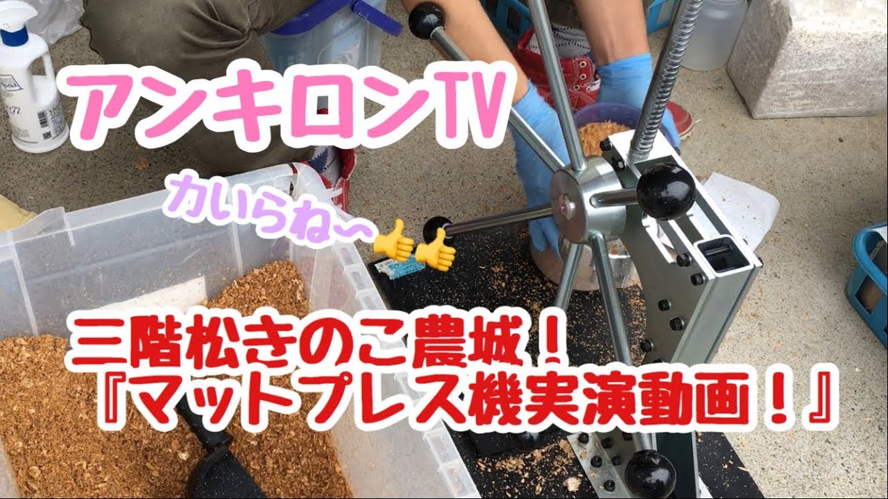 楽！】プレス機で菌糸を詰める【カワラ菌糸800cc編】 - YouTube