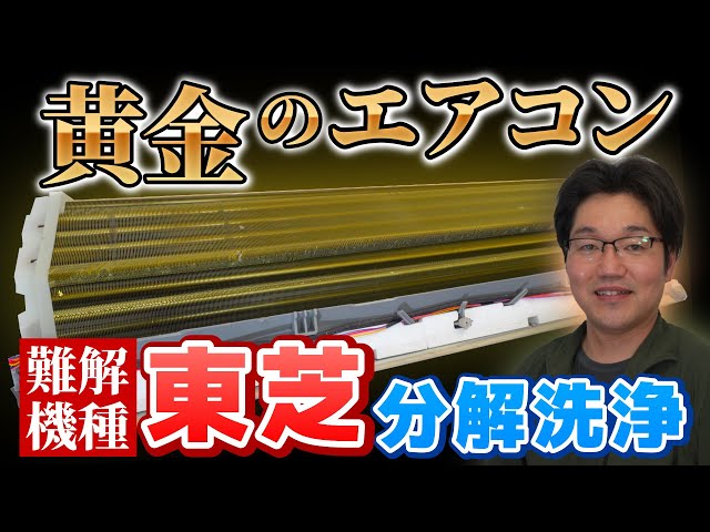 Toshiba Air Conditioner with Cleaning Function] A Geeky