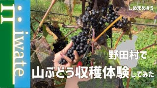 岩手県「山ぶどう」｜フードアルチザンのおすすめ｜${SITE_INFO.name}