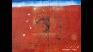 NUJABES / MODAL SOUL / 2LP | Record CD Online Shop JET SET