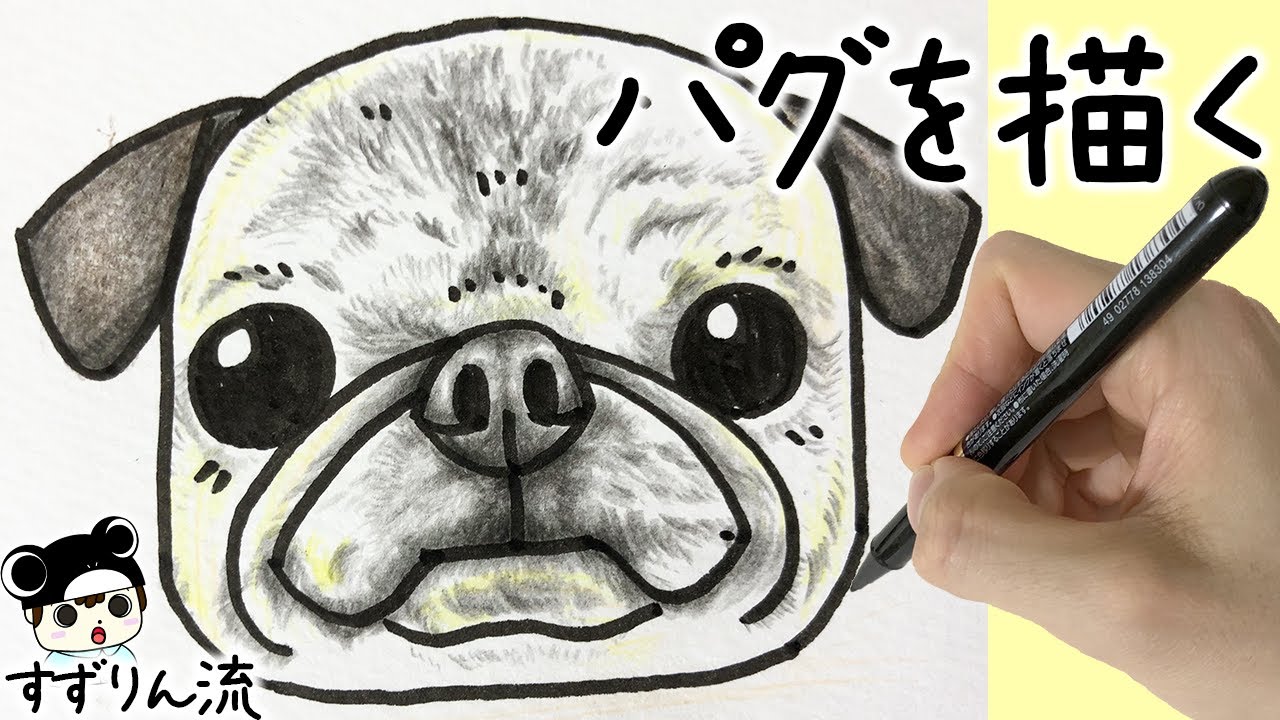 犬のイラスト】可愛い？パグの描き方 犬の絵 - YouTube