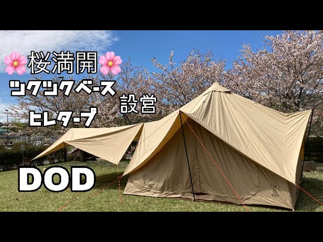 DOD ツクツクベースとヒレタープ 設営してみた❗️桜満開🌸 TSUKU