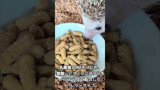 本店限定価格】ゆうパケットOK ハリネズミのむしたまペレットフード