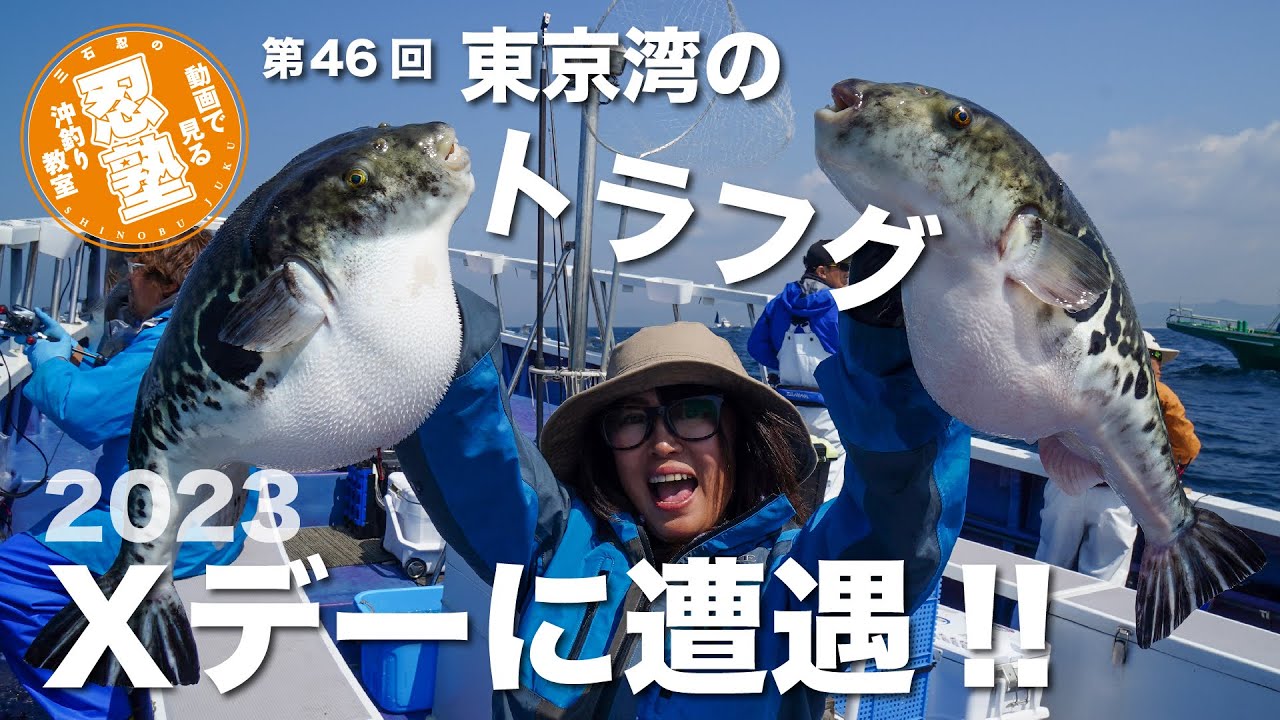 東京湾のトラフグ2023Xデーに遭遇!!【忍塾THE・ムービー46】 - YouTube