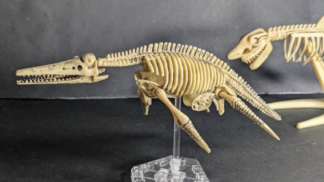 セリア 110円 恐竜骨格プラモデル 【大発見 古代生物＆恐竜化石