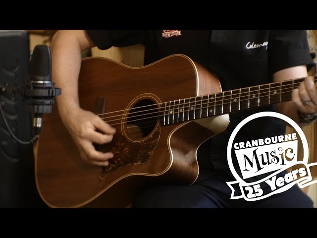 Cole Clark Fat Lady 2 - FL2EC-BLBL - Tasmanian Blackwood Top Back