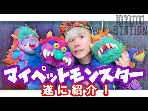 アメトイ 〉僕の相棒！マイペットモンスターを紹介！【ヴィンテージ