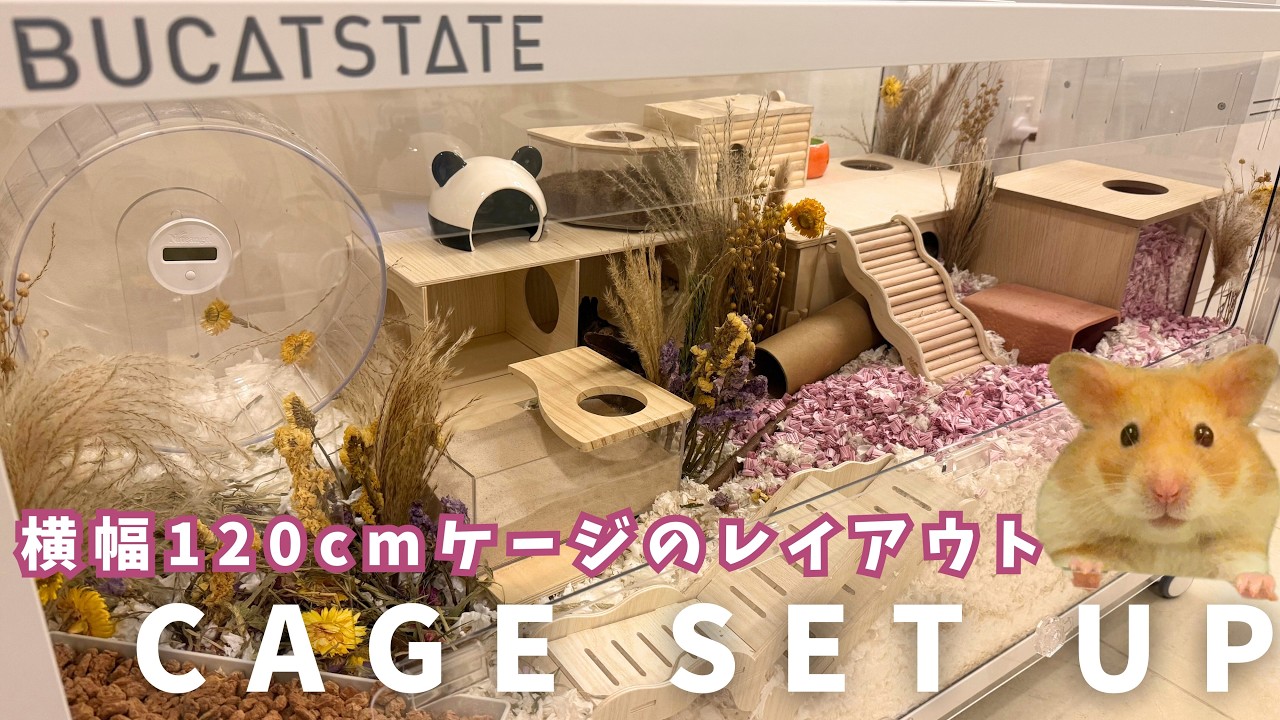 Giant Hamster Cage Setup! 120cm BUCATSTATE Metal Cage 3.0 Layout