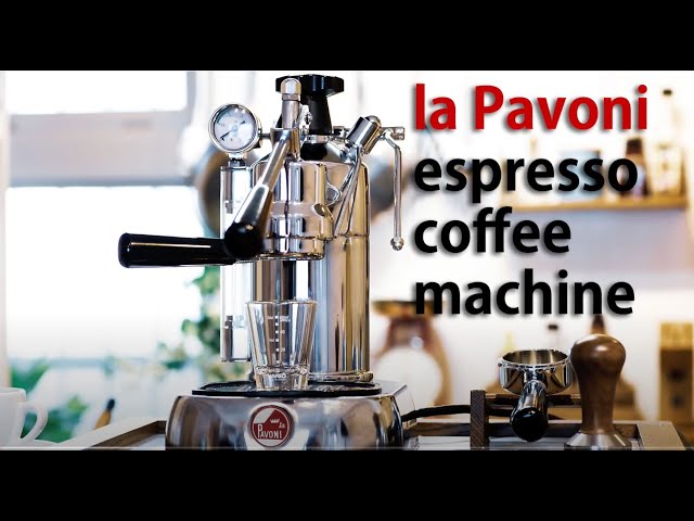 La Pavoni PROFESSIONAL ラ パヴォーニ プロフェッショナル