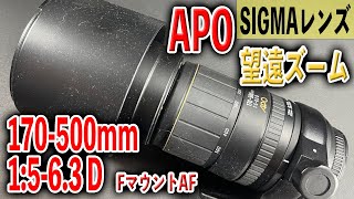 SIGMAの高倍率超望遠レンズ】170-500mm 1:5-6.3 D APO【Nikon F AF