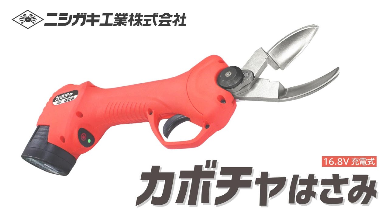 カボチャはさみ - YouTube