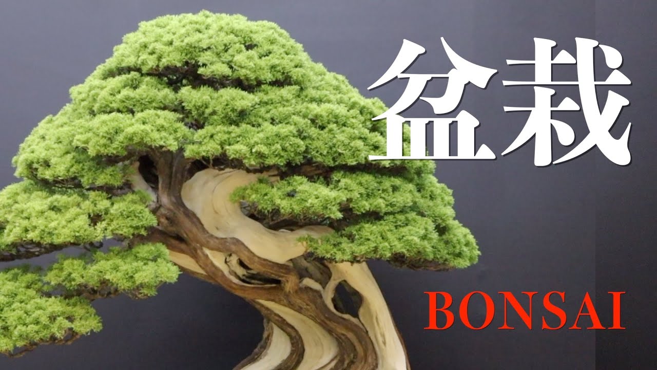 国内最大級！「第45回日本盆栽大観展」（2025年11月21日 京都市左京区