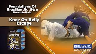 Bernardo Faria Fundamentals Trailer - YouTube