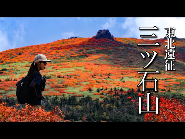 Mountain climbing] Autumn leaves in full bloom! A carpet of autumn