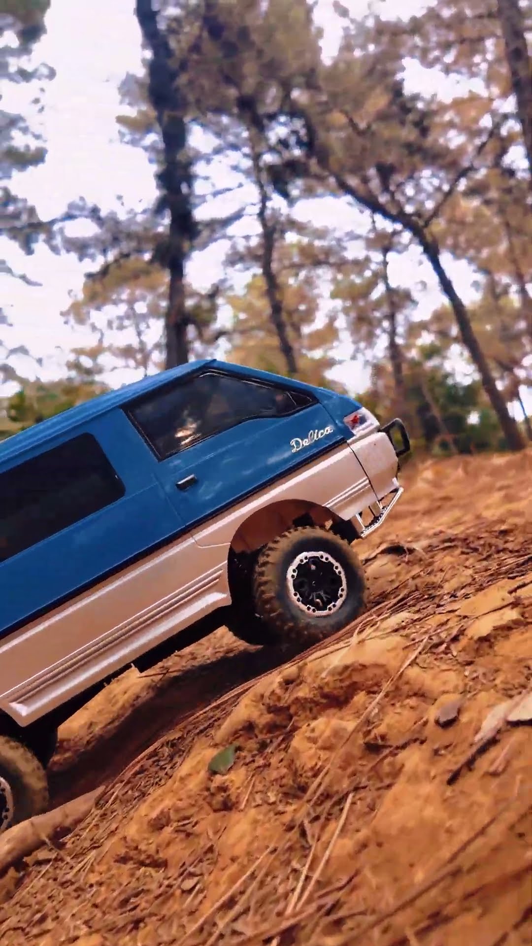 LDR/C 1:12 ラジコンカー、三菱 デリカ L300（1986）RC｜自然の中を