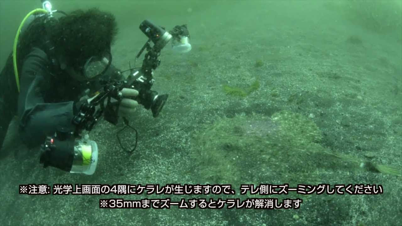 FUJIFILM X20の水中作例 - YouTube