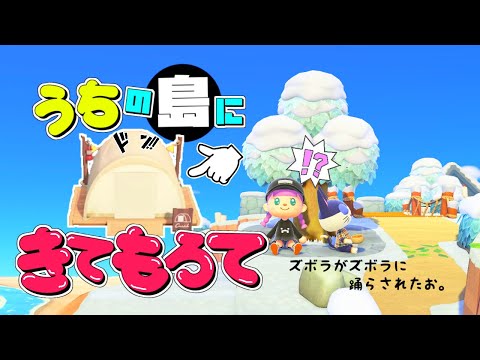 Animal Crossing] Day 33: A handsome guy came to the campsite