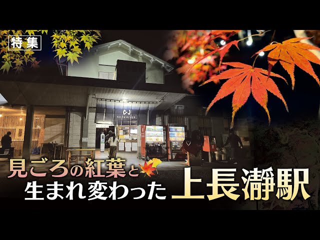 報道特集】紅葉まつりの月の石もみじ公園 - YouTube