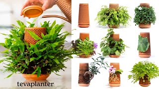 tevaplanter（テバプランター）】正規販売店｜水だけで育てる観葉植物