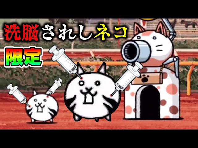 The Battle Cats] What kind of cat is this? The visual of the