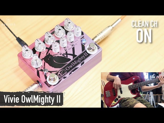 Vivie OwlMighty II Bass Preamp Sound Check - YouTube