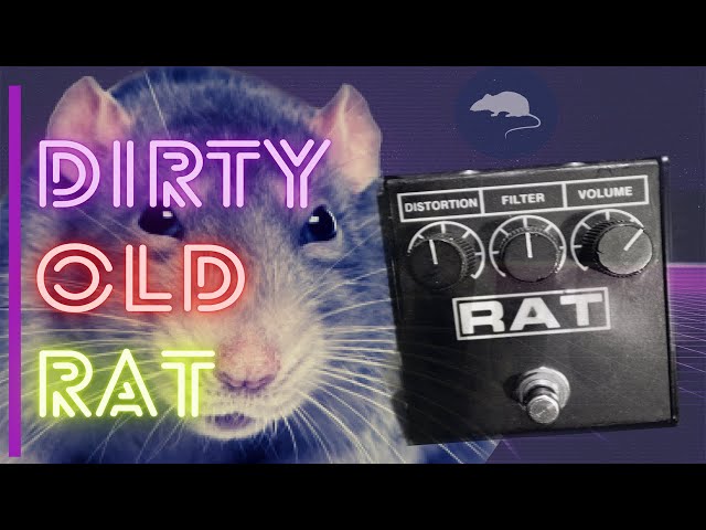 ProCo Rat2: Back to the 80's - YouTube