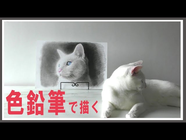 イラスト】白猫を色鉛筆で描いてみた/Drawing/colored pencil - YouTube