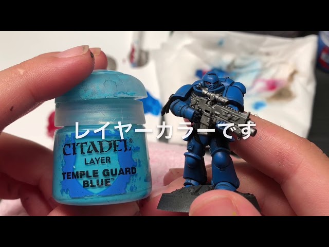 What is the Citadel Color 