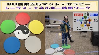 BU陰陽五行マット・セラピー（Eラーニング）五行マット付き｜田仲 真治