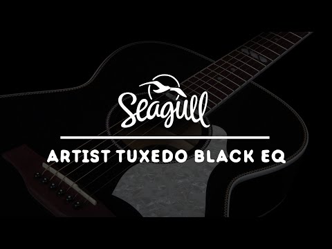 Seagull Artist Tuxedo Black EQ - YouTube
