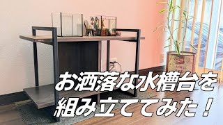アクアリウム】お洒落な水槽台を組み立ててみた！アクアラックシェルフ