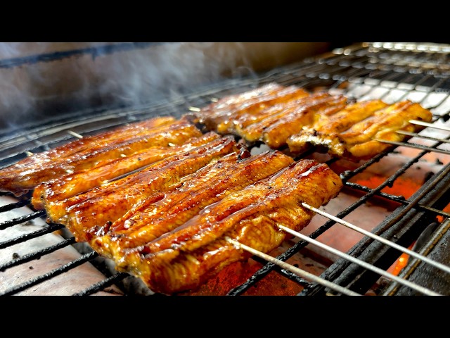 行列の理由】2尾のウナギで総重量854g！究極のマウンテンうな重が