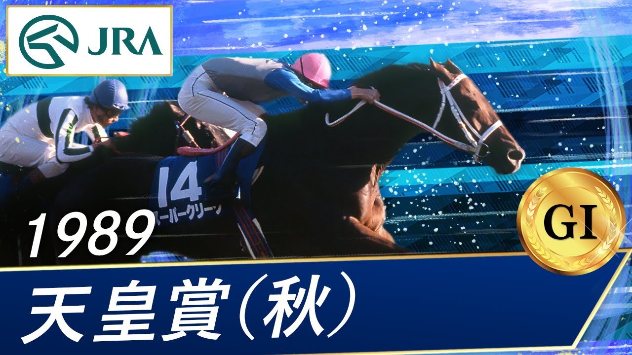 1995 Emperor's Cup (Autumn) (GⅠ) | Sakura Chitoseo | JRA Official