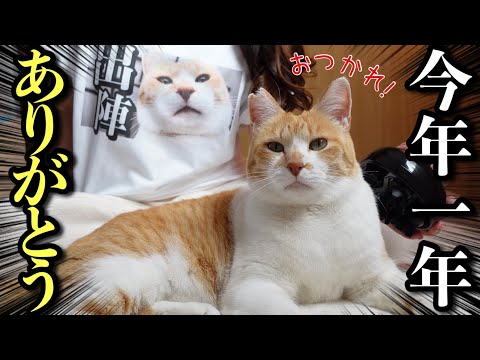 Ending 2022 with a Joyful Wedding Vlog - YouTube