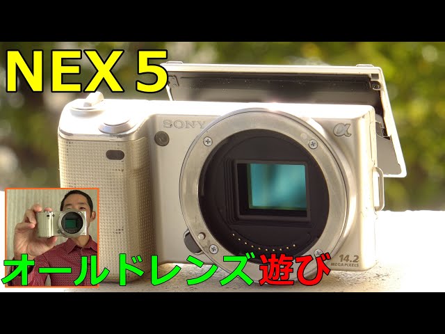 中古】7560円 SONY α NEX5 動作検証・作例 ジャンクレンズ専用 2年半