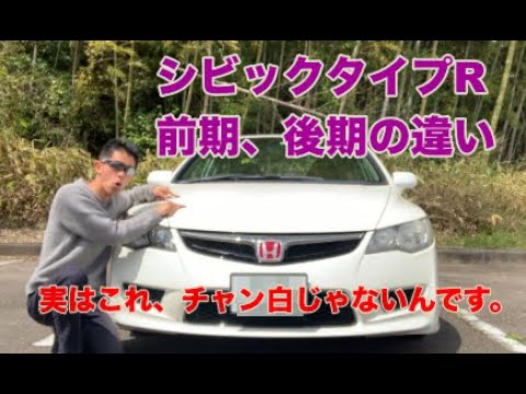 A must-see for potential buyers! Differences between the early and