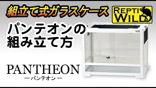 パンテオンホワイトWH3045 SANKO レプティワイルド 販売 通販 爬虫類用