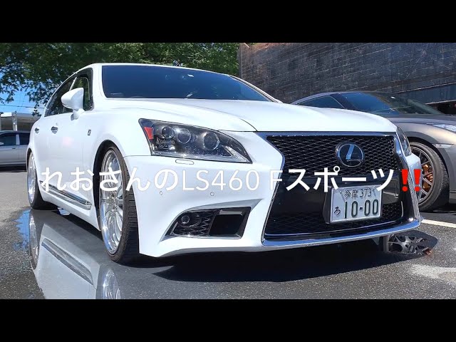 I got to ride Leo's LS460 F Sport!! ️] Lowdown by Carlson