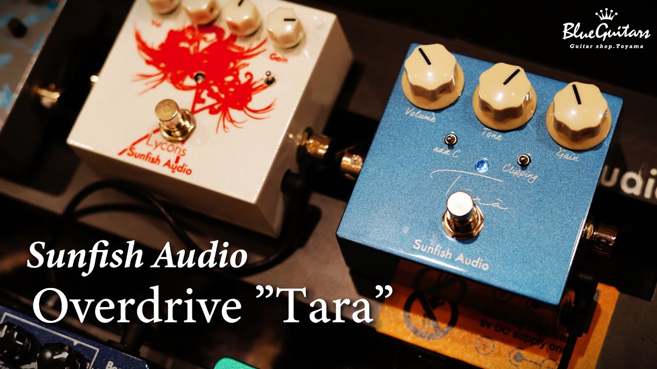 Sunfish Audio Fuzz “Forest” 試奏 - YouTube