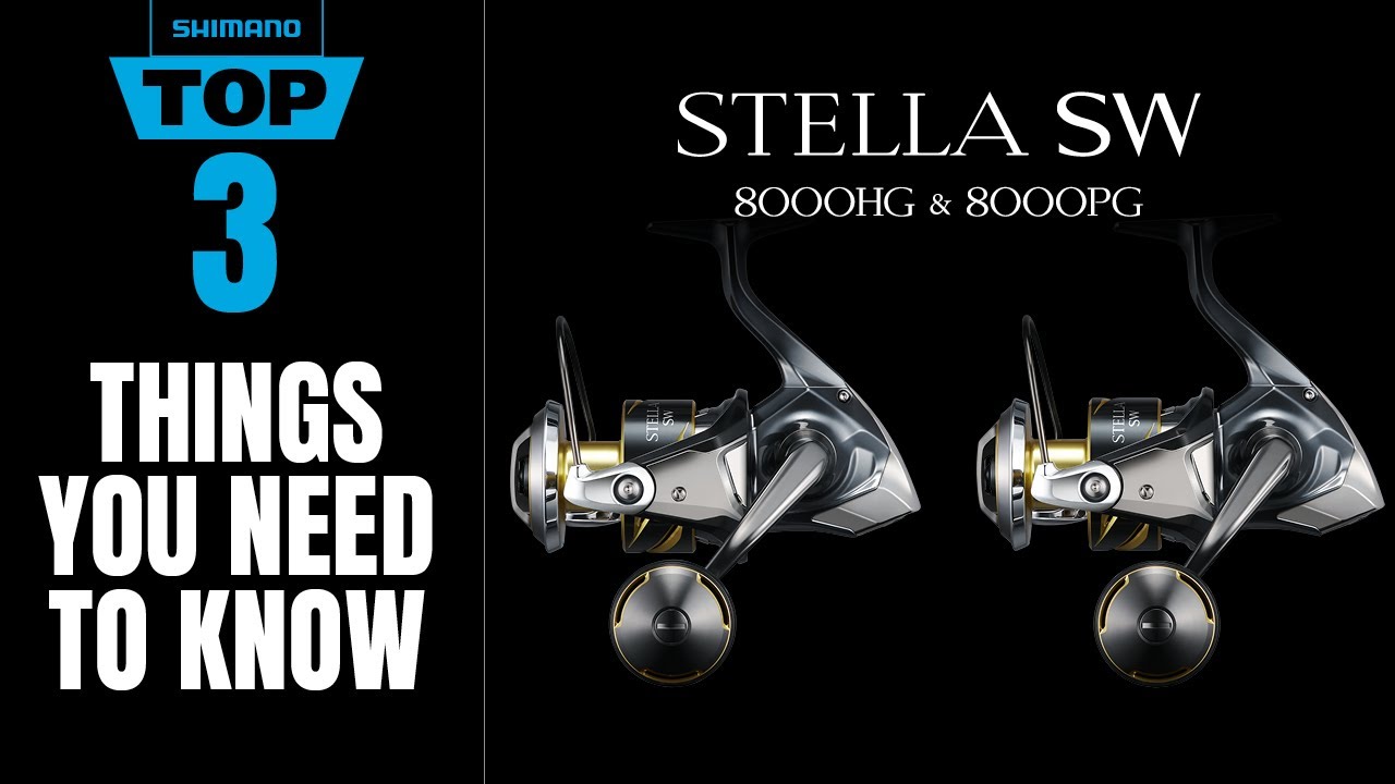 Shimano Stella SW 8000 D | Top 3 Features You Need to Know - YouTube