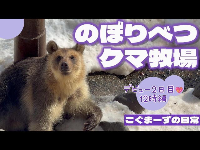 2026/02②] Kogumazu's Daily Life⭐︎Debut Day 2 12 o'clock Edition