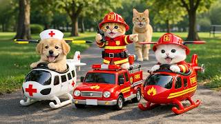 Mama Cat Trims Fur on the Farm and Makes Tiger Hat For Kittens At