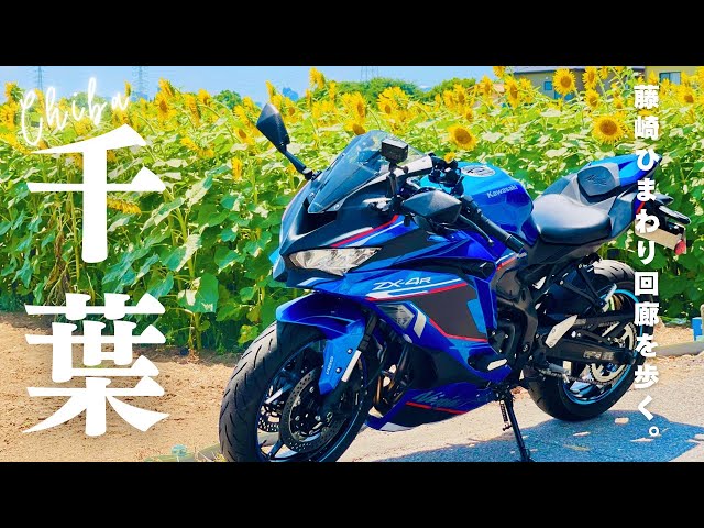 ひまわり鑑賞のためだけにバイクを走らす女の休日モトブログ