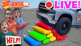 NEW ZZ Kids LIVE Show 🔴 | 24hr ZZ Kids TV Marathon - YouTube
