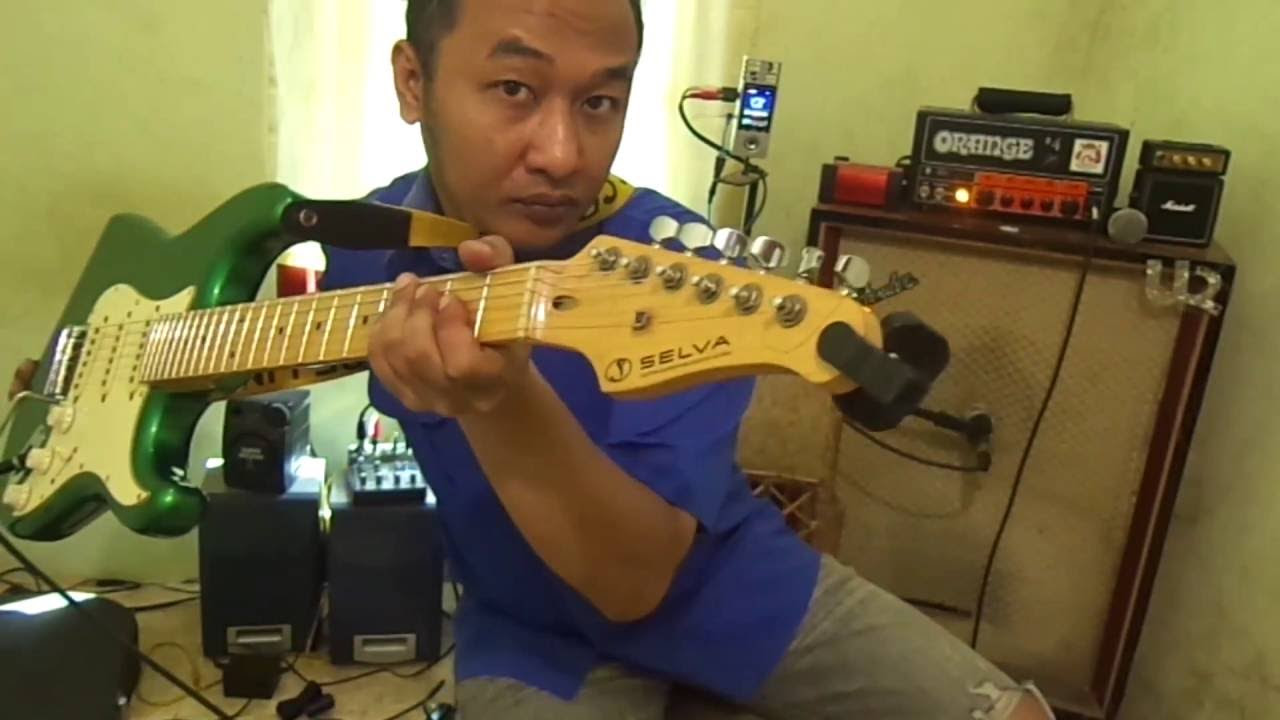 Selva Stratocaster Guitars / SELVA SST-201 OTM/M - YouTube
